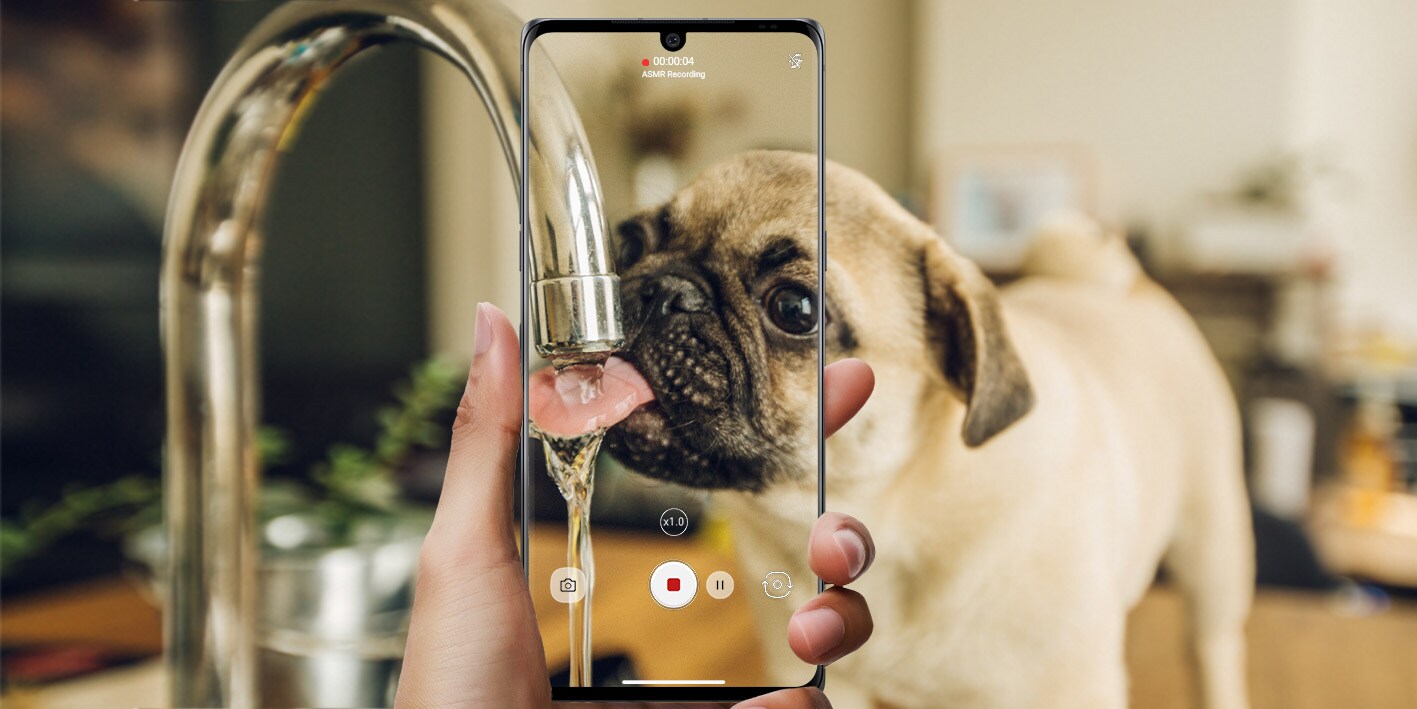 DE ESPECTADOR A CREADOR DE CONTENIDOS: CELULAR LG VELVET APUESTA POR LA DIFUSIÓN DE CONTENIDOS CON FUNCIONES ESPECIALIZADAS  